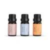 Demdaco Well-Being Essential Oil Trio -Fashion Accessories Store 1004540045