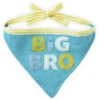 Hallmark Big Bro Pet Bandana -Fashion Accessories Store BBY4748 01