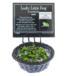 Lucky Little Frog Pocket Token Charm -Fashion Accessories Store ER27109