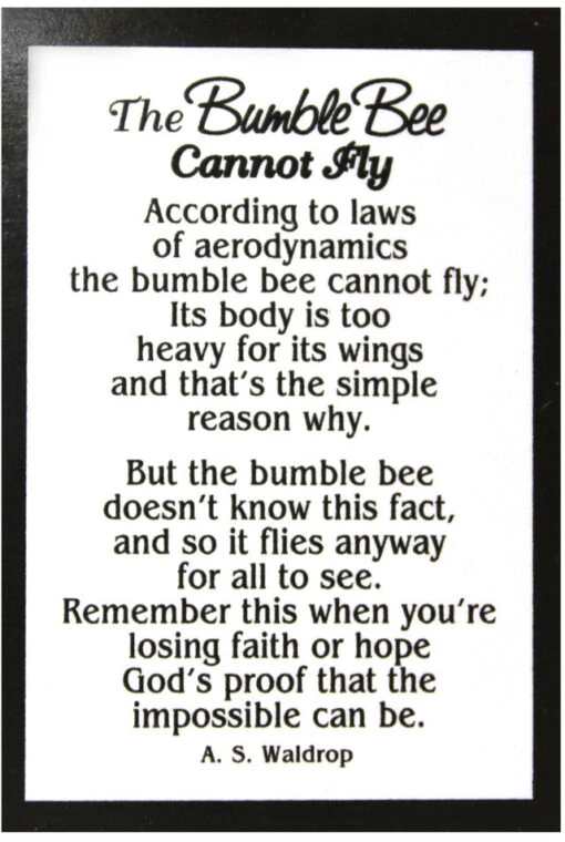The Bumble Bee Cannot Fly Pocket Token Charm - Image 2