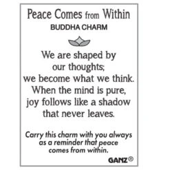 Peace Comes From Within Buddha Token Charm -Fashion Accessories Store ER61750 3