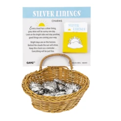 Silver Lining Sun And Cloud Pocket Token Charm -Fashion Accessories Store ER64535