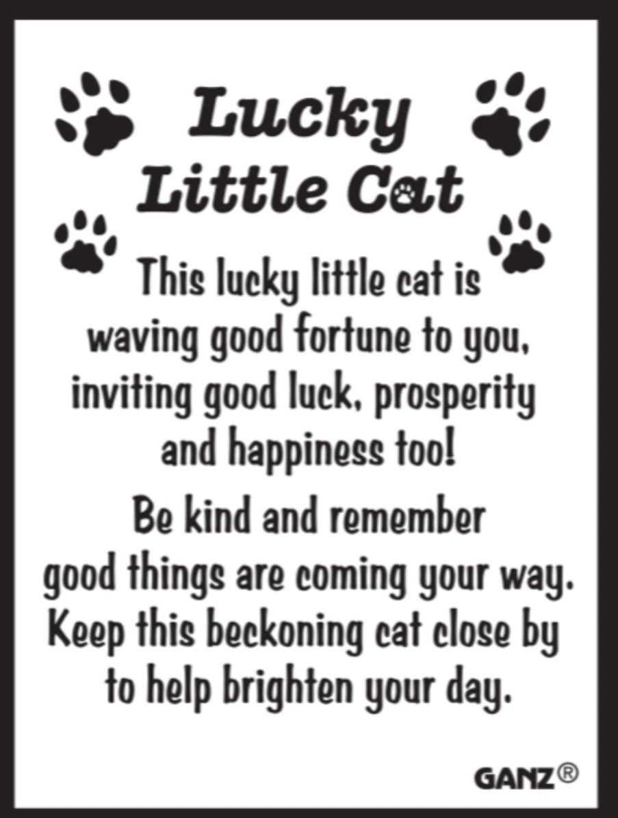 Asian Good Fortune Lucky Cat Pocket Token Charm 4 Asian Good Fortune Lucky Cat Pocket Token Charm - Image 2