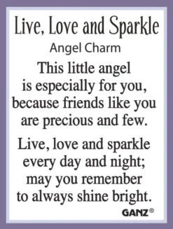 Live Love Sparkle Angel Pocket Token Charm -Fashion Accessories Store ER68985 2