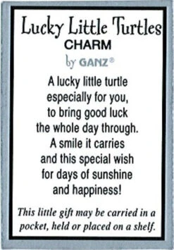 Lucky Little Turtle Pocket Token Charm -Fashion Accessories Store el6533 ht