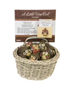 Little Wise Acorn Hat Owl Token Charm -Fashion Accessories Store er51272