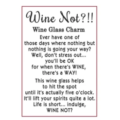 Token Charm Red Wine Glass Wine Not? -Fashion Accessories Store er55106 ht