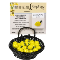 When Life Gives You Lemon Token Charm -Fashion Accessories Store er62157