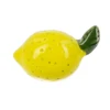 When Life Gives You Lemon Token Charm -Fashion Accessories Store er62157 b