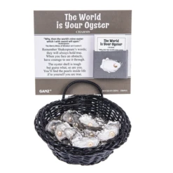 The World Is Your Oyster Token Charm -Fashion Accessories Store er69111