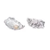 The World Is Your Oyster Token Charm -Fashion Accessories Store er69111 b