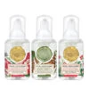 Michel Design Works Mini Foaming Hand Soap Set: Christmas Bouquet, White Spruce, Joy To The World -Fashion Accessories Store foams18