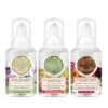 Michel Design Works Mini Foaming Hand Soap Set: Deborah's Garden, The Meadow, Sweet Floral Melody